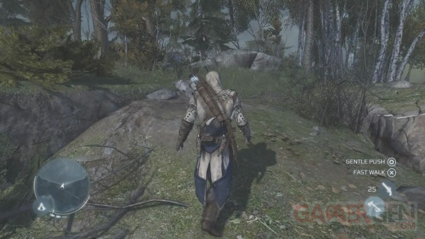 assassin's_creed_iii_screenshot(1)