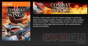 combat wings