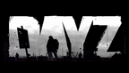 dayZ-vignette