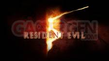 re_5_logo_5500_300dpi_resident_evil_v2