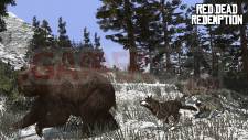Red-Dead-Redemption_chasse-11