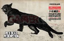Red-Dead-Redemption_chasse-19