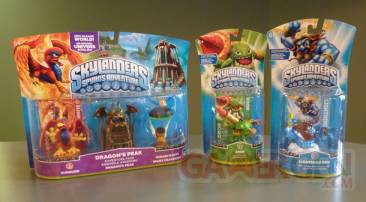 skylanders spyro's adventure (5)