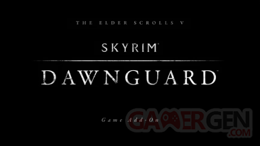 skyrim dawnguard screenshot