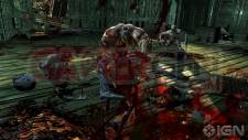 Splatterhouse namco Bandai images screenshots PS3 Xbox 360 (6)