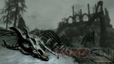 the-elder-scrolls-v-skyrim-dragonborn-screenshot-15-11-2012-005