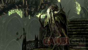 the-elder-scrolls-v-skyrim-dragonborn-screenshot-15-11-2012-011